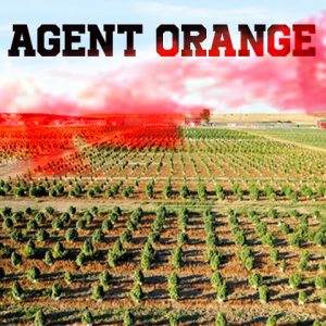 Agent Orange Photo Fem-4121