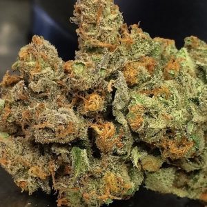 Agent Orange Photo Reg-4039