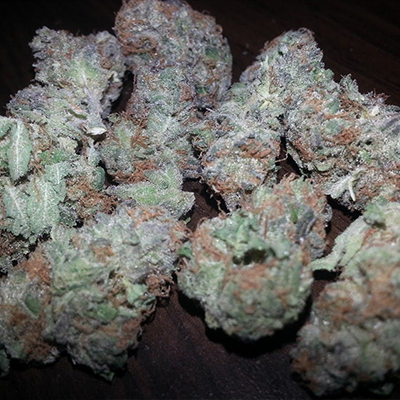Alaskan Purple Auto Fem-3683