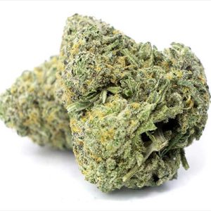 Alien OG Fast Photo Fem-0