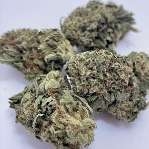 Alien Technology Photo Reg-4131