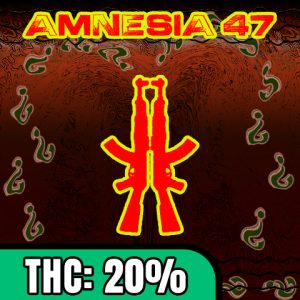 Amnesia 47 Photo Fem-4292