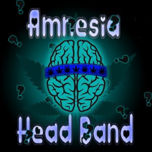 Amnesia Head Band Photo Fem-4267