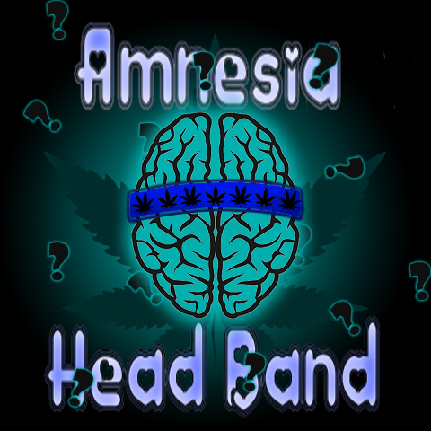 Amnesia Head Band Photo Fem-4267
