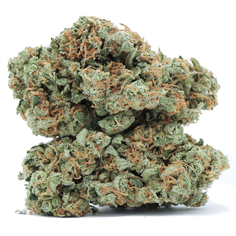 Amnesia Kush Photo Fem-4198