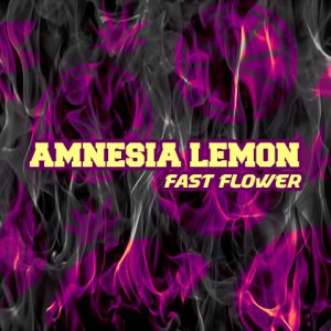 Amnesia Lemon Fast Photo Fem-3970