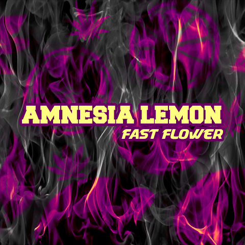 Amnesia Lemon Fast Photo Fem-3970