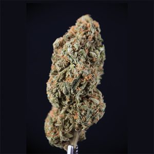 Amnesia Lemon Widow Photo Fem-0
