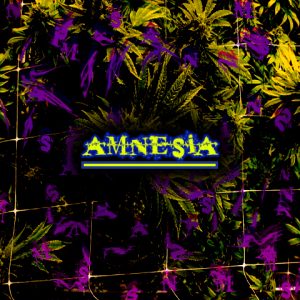 Amnesia Photo Fem-4155