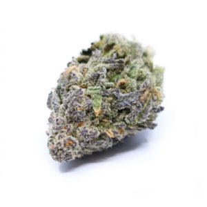 Amnesia Purple Photo Fem-4082