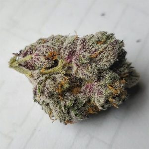 Apple Fritters Auto Fem-1520