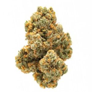 Apple Jack Photo Fem-0