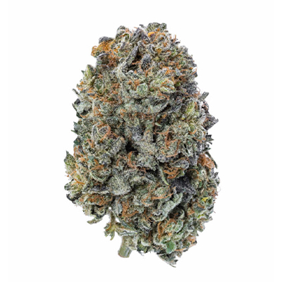 Aurora Indica Auto Fem-1505