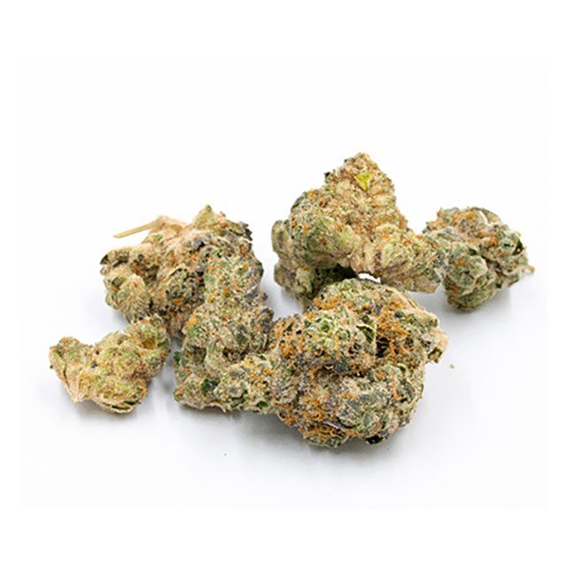 Badazz Rolex Photo Fem-0