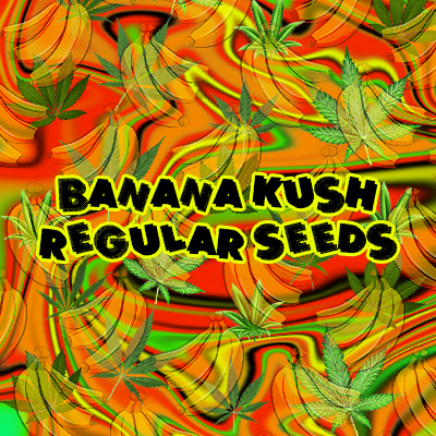 Banana Kush Photo Reg-2688