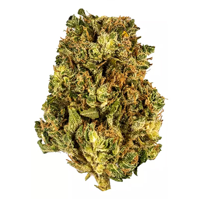 Banana Kush Photo Reg-2686