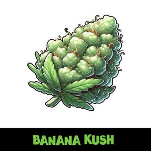 Banana Kush Photo Reg-2689