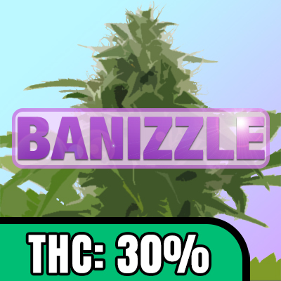 Banizzle Photo Fem-2241
