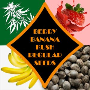 Berry Banana Kush Photo Reg-2671