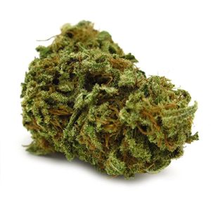 Berry Banana Kush Photo Reg-2669