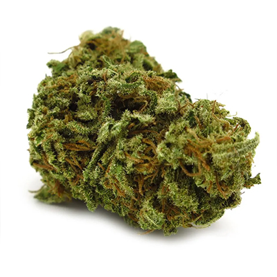 Berry Banana Kush Photo Reg-2669