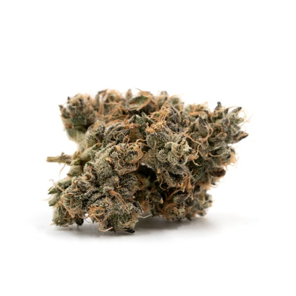 Big Blue Bud Auto Fem-3300