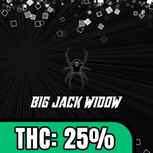 Big Jack Widow Auto Fem-1503