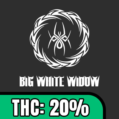 Big White Widow Auto Fem-1499