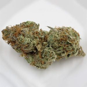 Birthday Cake Photo Fem-2001