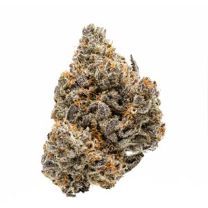 Biscotti Photo Fem-2039