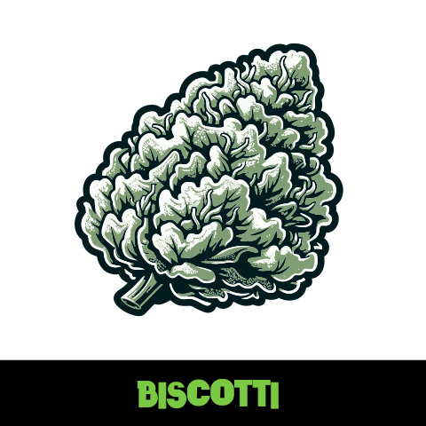 Biscotti Photo Fem-2042