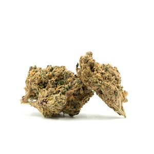 Black Hulk Photo Fem-0