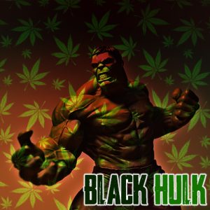 Black Hulk Photo Fem-4085