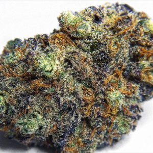 Black Runtz Photo Fem-2376