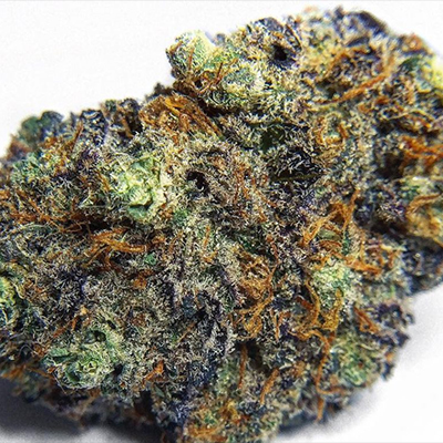 Black Runtz Photo Fem-2376