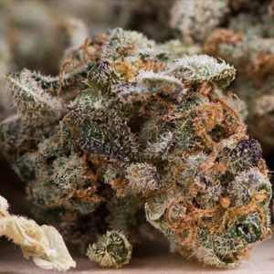 Black Sugar Auto Fem-3697