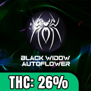 Black Widow Auto Fem-1587