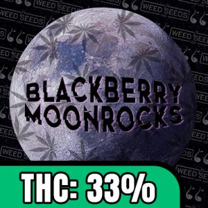 Blackberry Moonrocks Photo Fem-1884