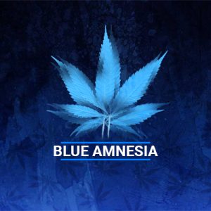 Blue Amnesia Auto Fem-2847