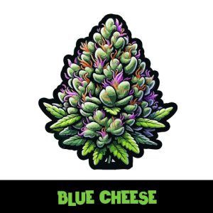 Blue Cheese Photo Fem-2997