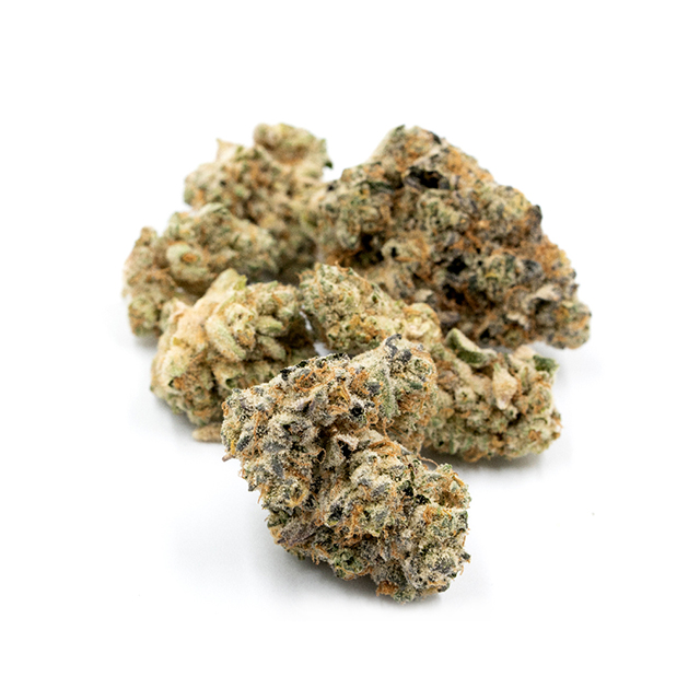 Blue Cheese Photo Fem-2994