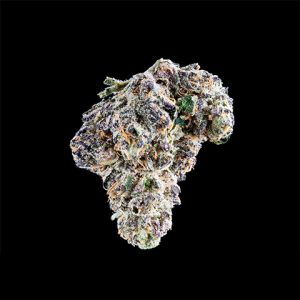 Blue Cookies Fast Photo Fem-2536