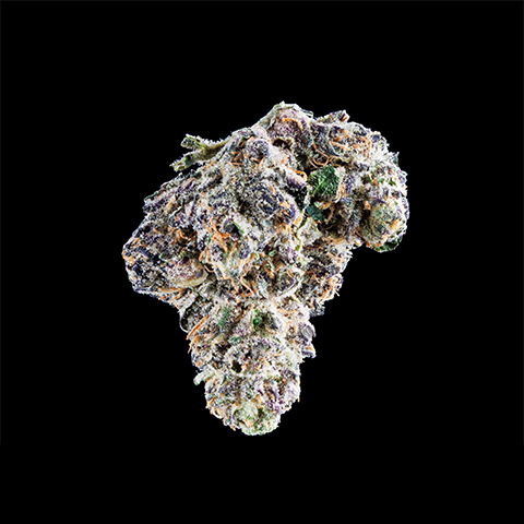 Blue Cookies Fast Photo Fem-2536