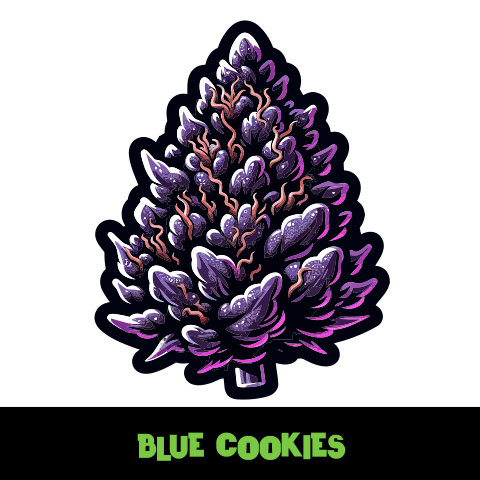 Blue Cookies Photo Fem-4182