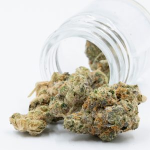 Blue Cream Cheese Auto Fem-3864