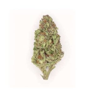 Blue Diesel Auto Fem-3699