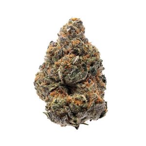 Blue Girl Scout Band Photo Fem-3820