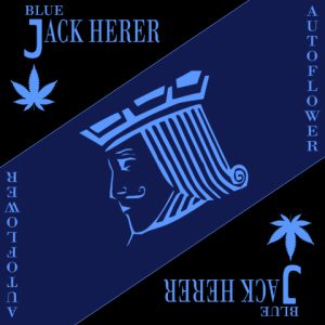 Blue Jack Herer Auto Fem-3998