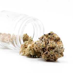 Blue Lemon Haze Auto Fem-3298
