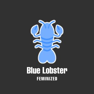Blue Lobster Photo Fem-0